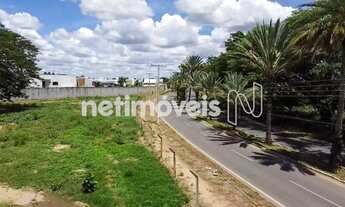 Imagem 6: Venda Lote-Área-Terreno Santa Cruz Janaúba