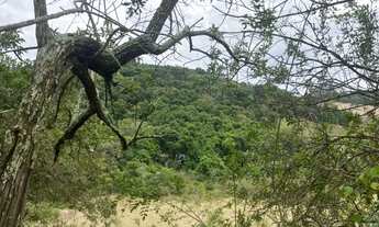 Imagem 6: Terreno 2.000 m² para chácara em São Caetano (Casa Grande) - a 12km de Queluzito!