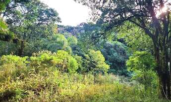 Imagem 7: Sítio / Chácara para Venda em Nova Petrópolis, Linha Pirajá Baixa