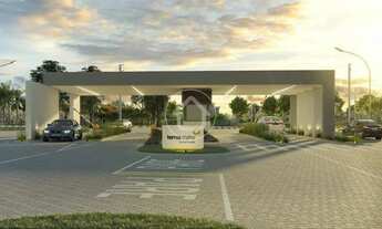 Imagem: LOTE TERRAS ALPHA