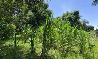 Imagem 4: Sítio rural de 5.000m² em Jaboticatubas, divisa com Baldim!