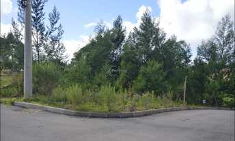 Imagem 2: Terrenos - Diamantino