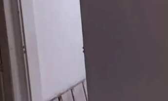 Imagem 7: CASA ASSOBRADADA - CHÁCARA SANTO ANTONIO - SP