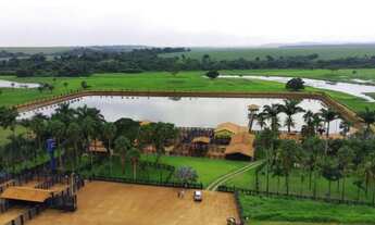 Imagem 2: Fazenda 16 alq. Alto Padrão em Nova Glória só R$ 8.500.000