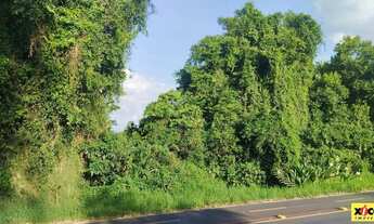 Imagem 4: Sítio / Chácara para Venda em Nova Petrópolis, Canto Ruckert