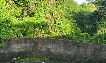 Imagem 6: Vendo propriedade com 2 casas em Aldeia km10