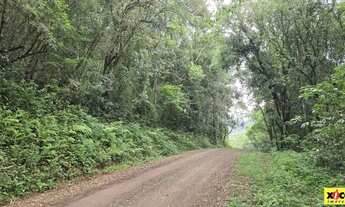 Imagem 3: Sítio / Chácara para Venda em Nova Petrópolis, Pinhal Alto