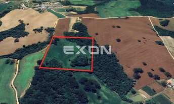 Imagem: Terreno à venda 48.513 m2 Colônia Figueiredo