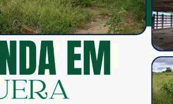 Imagem: FAZENDA EM IBIQUERA - 2000 TAREFAS