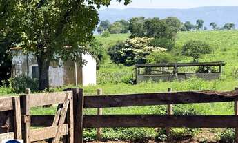 Imagem 3: Fazenda Agropecuária à Venda em São João da Aliança - GO