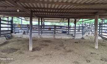 Imagem 5: FAZENDA EM IBIQUERA - 2000 TAREFAS