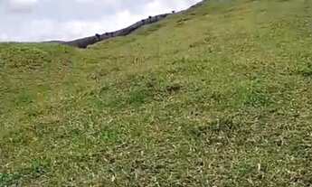 Imagem: 3 alqueires em Cachoeiro de Itapemirim (Taquarinha)