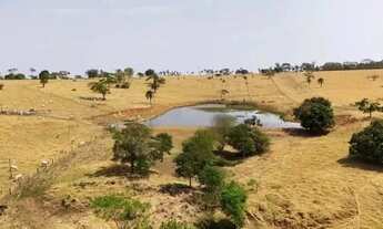Imagem 4: Fazenda à venda 47 alq de cultura em Itauçu-GO