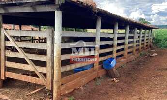 Imagem 2: Chácara 5,6 alqueires (27 hectares) Trindade - GO