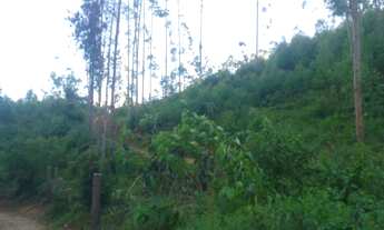 Imagem 4: Sítio marechal floriano 17 henquitares