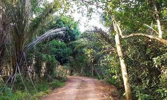 Imagem 6: Casa Duplex Lado da Sombra no YBY Natureza Alto Padrão, Rooftop e Espaço Gourmet Completo