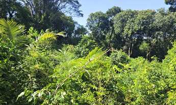 Imagem 7: Lotes à venda no Balneário Ponta da Fruta - Interlagos 2, investimento, parcelo, troco lea