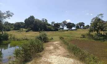 Imagem 2: Sitio com 10 hectares de porteira fechada na região da praia grande na cidade de