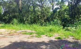 Imagem 7: TERRENO - VISTA ALEGRE - SP