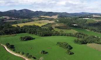 Imagem 6: Terreno Rural com 104.000m², água mineral e natureza em Bateias!