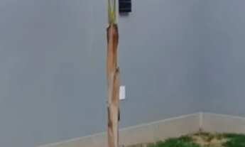 Imagem 3: Casa Jardim Bom sucesso em Indaiatuba