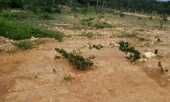 Imagem 3: Chácara de esquina 10km do trevo de Juramento
