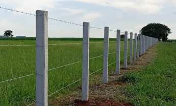 Imagem 6: Sítio de 6 Alqueires em Potirendaba ao lado de SJ do Rio Preto - SP