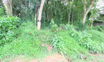 Imagem 4: Lotes exclusivos no Cônego - Lote 14