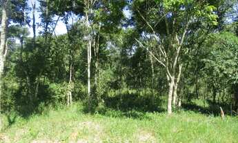 Imagem 2: Linda área São Francisco Xavier /Rio do peixe