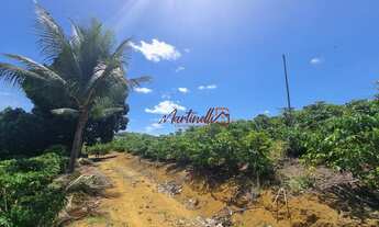 Imagem 3: Fazenda/Sítio/Chácara para venda com 2000 metros quadrados entre a serra e fundão
