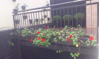 Imagem 4: Flat para aluguel, Apartamento com 63 metros, 1 quarto, sem condomínio, sem fiador no Alt