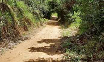 Imagem 4: Terreno para venda tem 5000 metros quadrados em Paraisópolis - MG