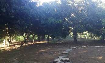 Imagem 2: Chácara no mun.de Corumbá