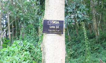 Imagem 2: Lotes exclusivos no Cônego - Lote 14