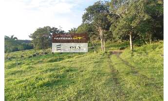 Imagem 5: Oportunidade ! Fazenda Extra Região de Iporá ! 32 Alqueires !