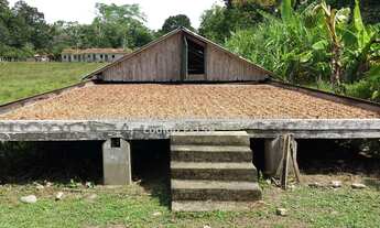 Imagem 3: Fazenda/Sítio/Chácara para venda tem 1200 metros quadrados em Centro - Belmonte - BA