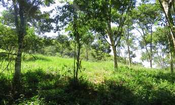 Imagem 3: Linda área São Francisco Xavier /Rio do peixe