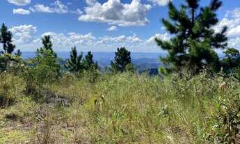 Imagem 4: A MAIS BELA VISTA DA REGIÃO SERRANA! TERRENO COM PLATÔ!