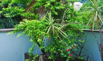 Imagem 1: Cobertura duplex para venda com 176 metros quadrados com 4 quartos em Humaitá - Rio de Jan