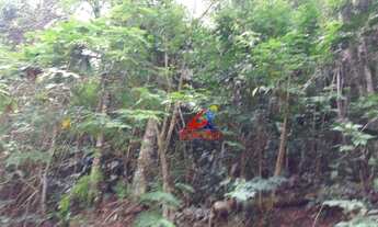 Imagem: Terreno à venda, 5200 m² por R$ 250.000,00