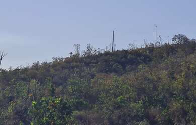 Imagem 3: Terreno 2.000 mts na serra da mesa