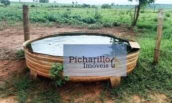 Imagem 2: Fazenda em Palestina - SP - 73 alqueires - 40 alqueires em Lavoura de soja planta mas uns