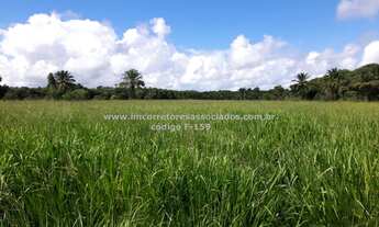 Imagem 7: Fazenda/Sítio/Chácara para venda tem 1200 metros quadrados em Centro - Belmonte - BA