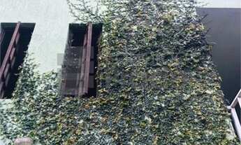 Imagem 4: SãO PAULO - Sobrado Padrão - Horto Florestal