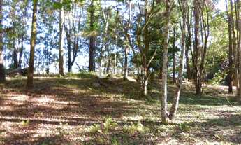 Imagem 5: Campos do Jordão - Loteamento/Condomínio - indeterminado