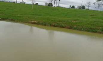 Imagem 4: FAZENDA DE 42 ALQUEIRES 20 KM DE COLNIZA MATO GROSSO