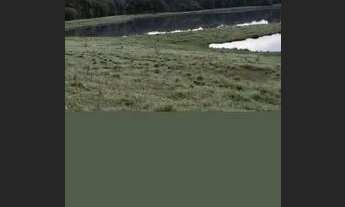 Imagem 6: Balsa Nova - Terreno Padrão - BUGRE