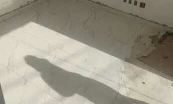 Imagem 5: Excelente Casa independente, nova, acabam. moderno, c/ 2 quartos - Bairro Santa Helena - C