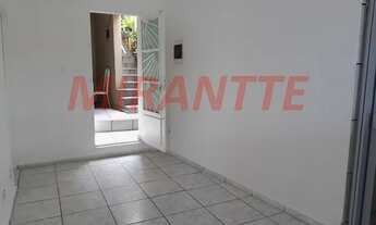 Imagem 3: Comercial de 165m² com 4 quartos em Vila Amalia