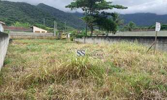 Imagem 3: Terreno aterrado e murado na praia Massaguaçu